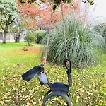 Domaine De La Ronce 度假居