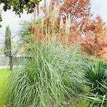 Domaine De La Ronce 度假居 Cézac