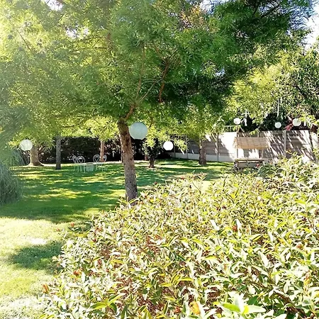 Le Domaine De La Ronce - & * Cezac (Gironde)