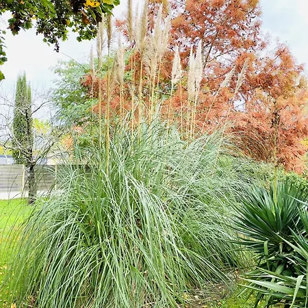 Domaine De La Ronce Casa de Férias Cézac